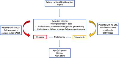 The Impact of Proton Pump Inhibitors on the Development of Gastric Neoplastic Lesions in Patients With Autoimmune Atrophic Gastritis